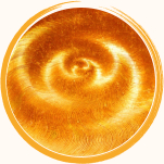Neuraltherapie